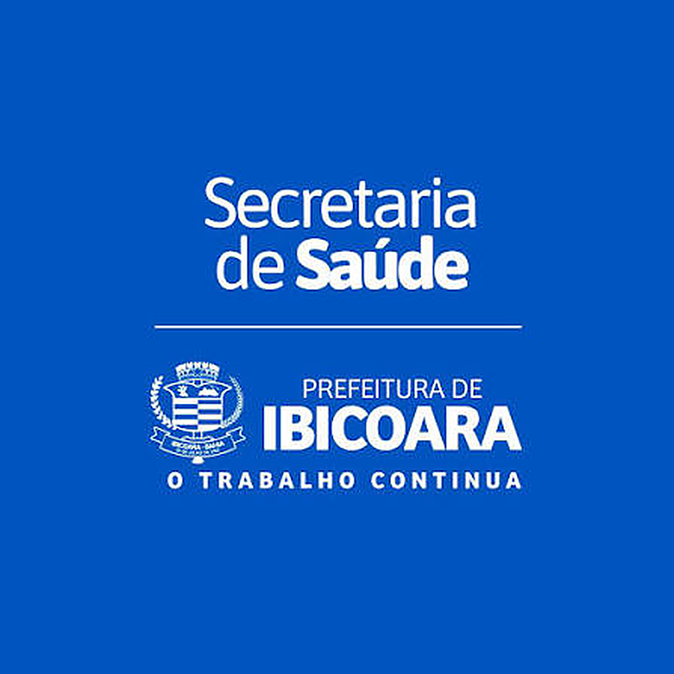Logo do Ibicoara